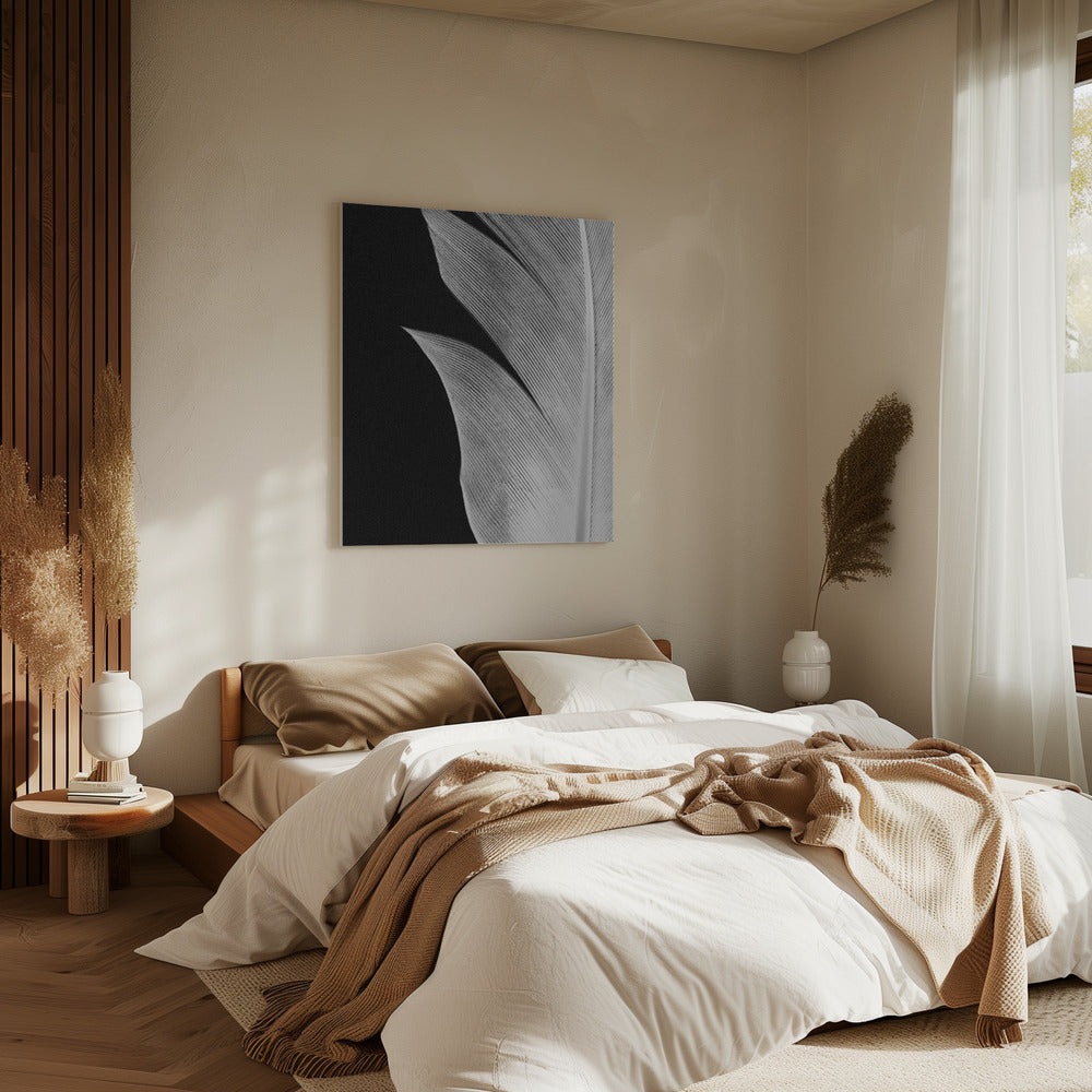 Feather_005 | Canvas