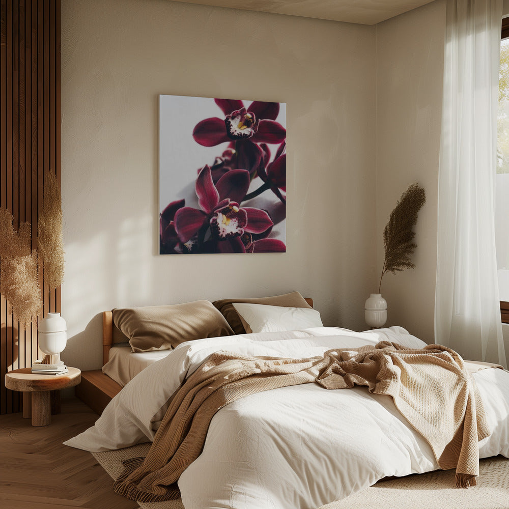 Velvet Orchid Twilight | Canvas