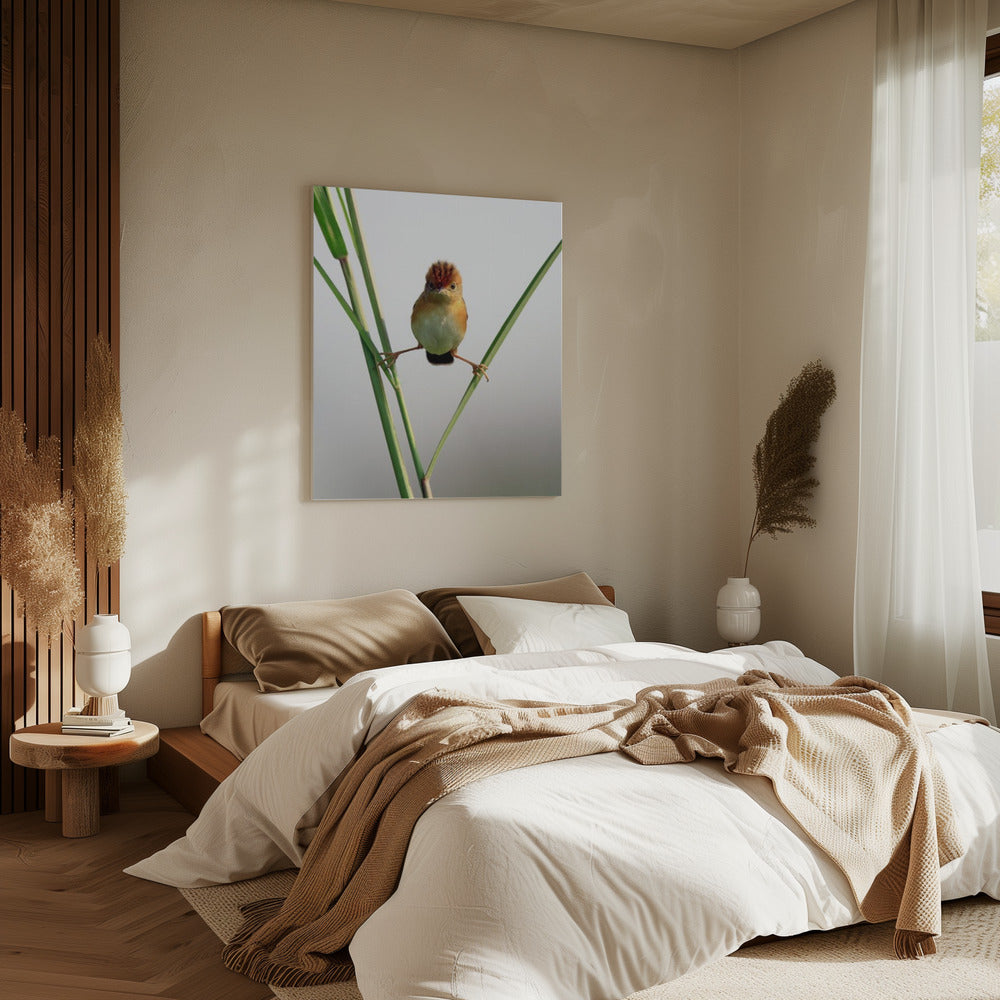 Kung Fu Master | Canvas