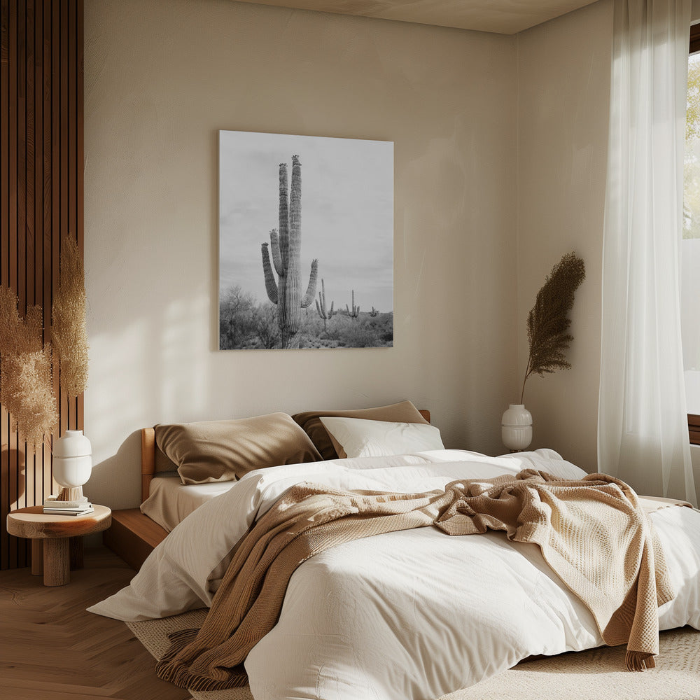 Saguaro B&W | Canvas