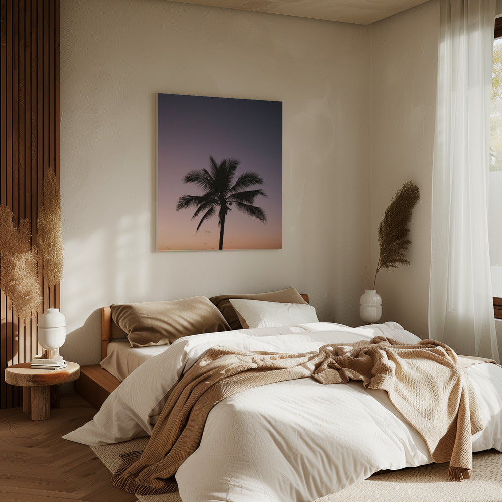 Costa Rica Palm Tree | Canvas