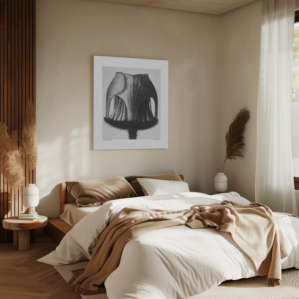 Geum Rivale | Canvas