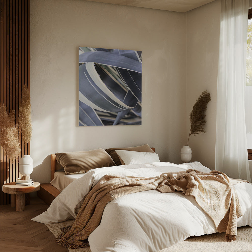 Agave Whorls | Canvas