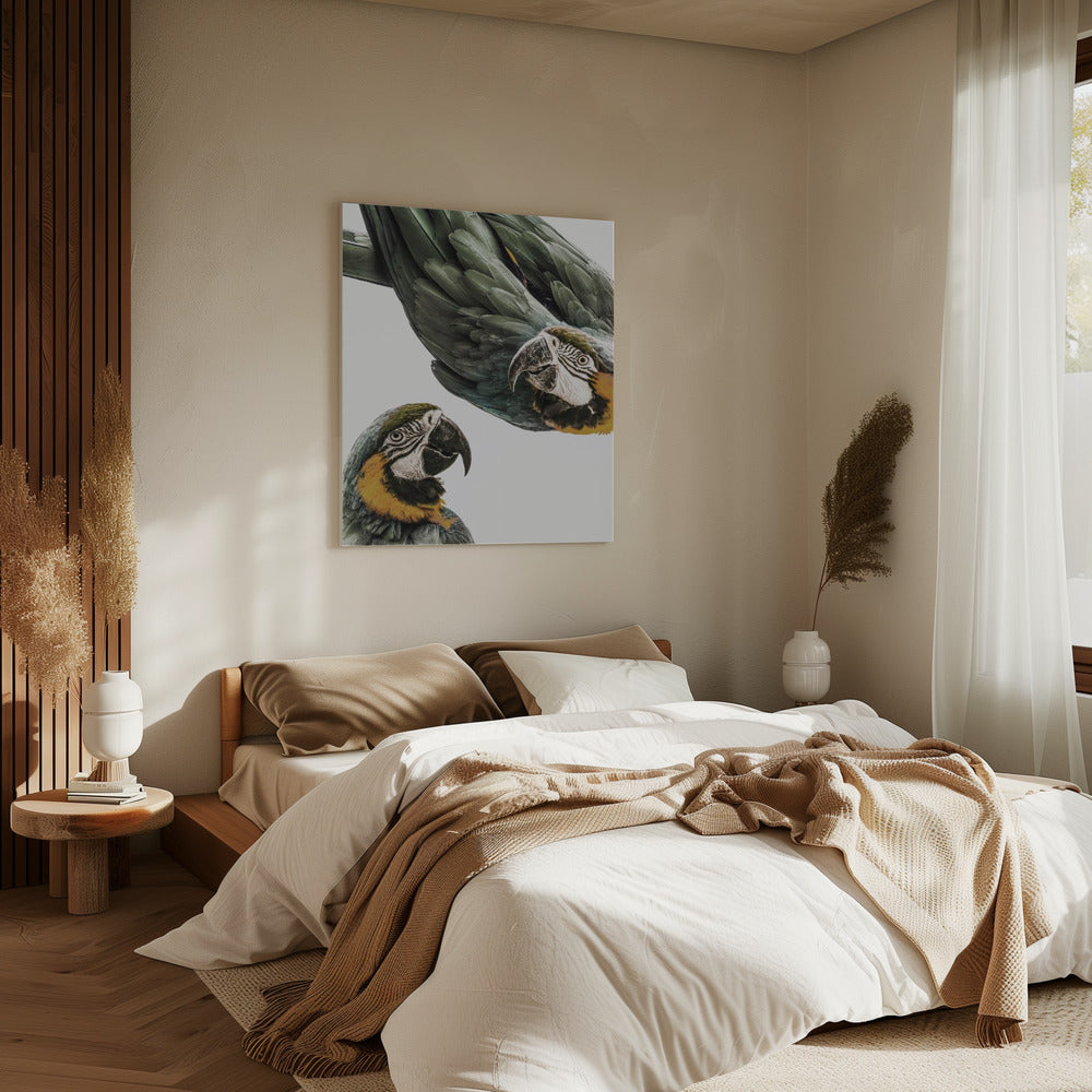 Vibrant Parrot Duo | Canvas