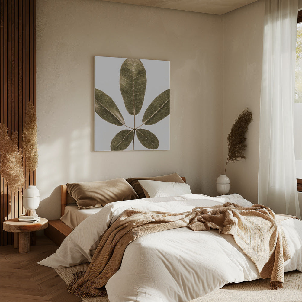 Five Leaf Harmony | Canvas