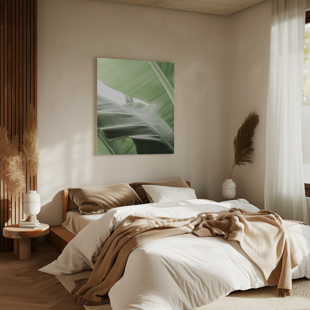 Leafy Serenity | Canvas