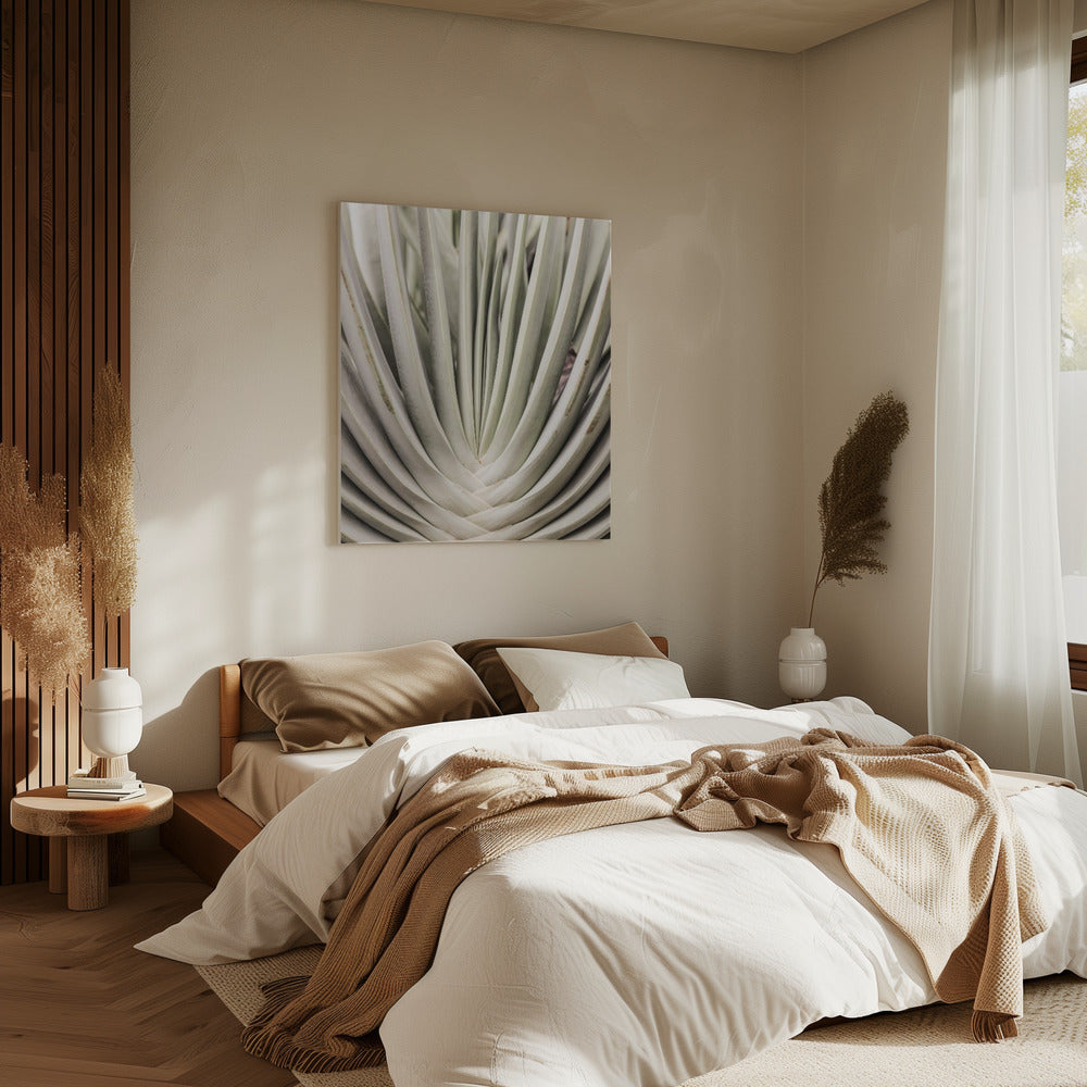 Desert Fan Dance | Canvas