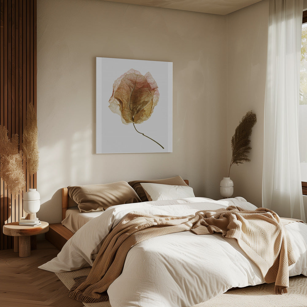 Veined Elegance | Canvas