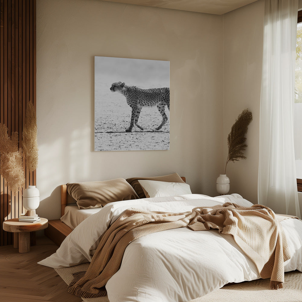 Silent Pursuit | Canvas