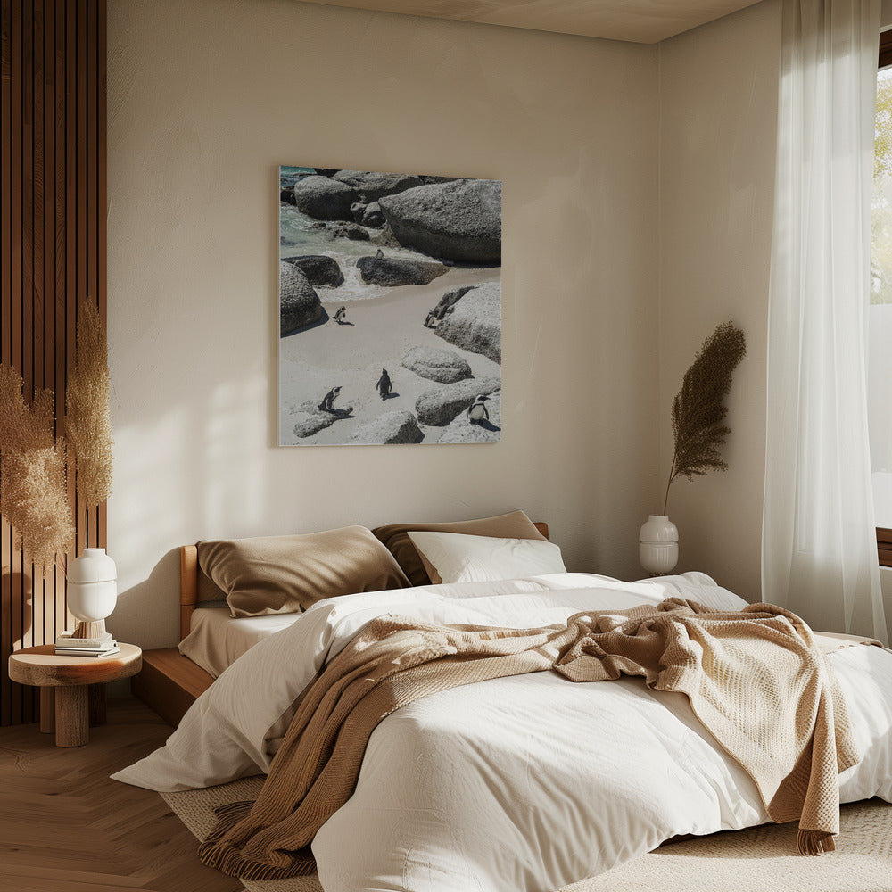 Penguin Beach Stroll | Canvas