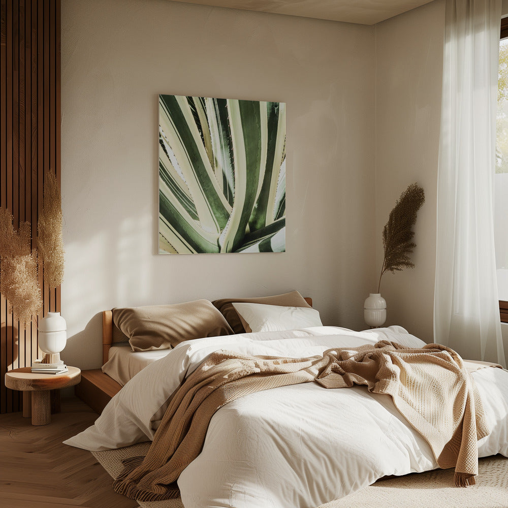 Succulent Symphony | Canvas