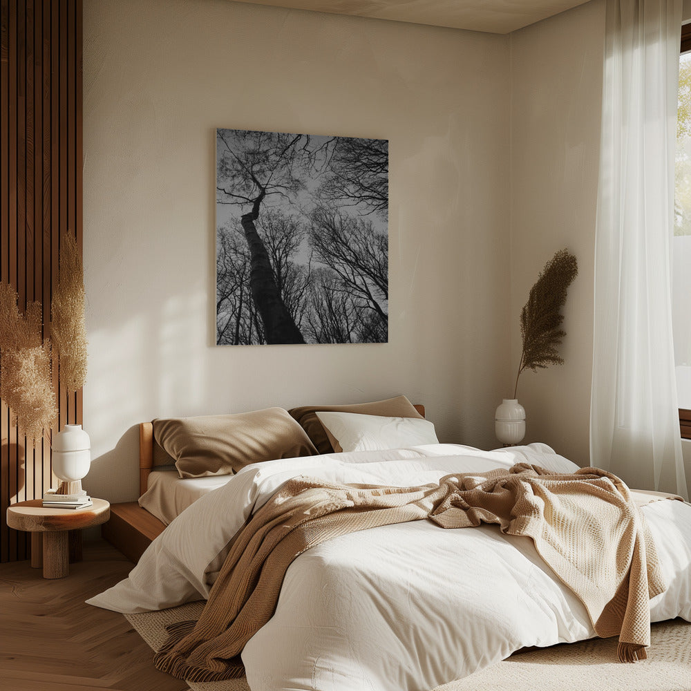 Winter's Reach | Canvas