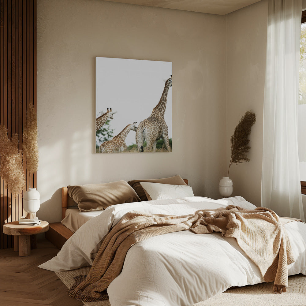 Giraffe Stroll | Canvas