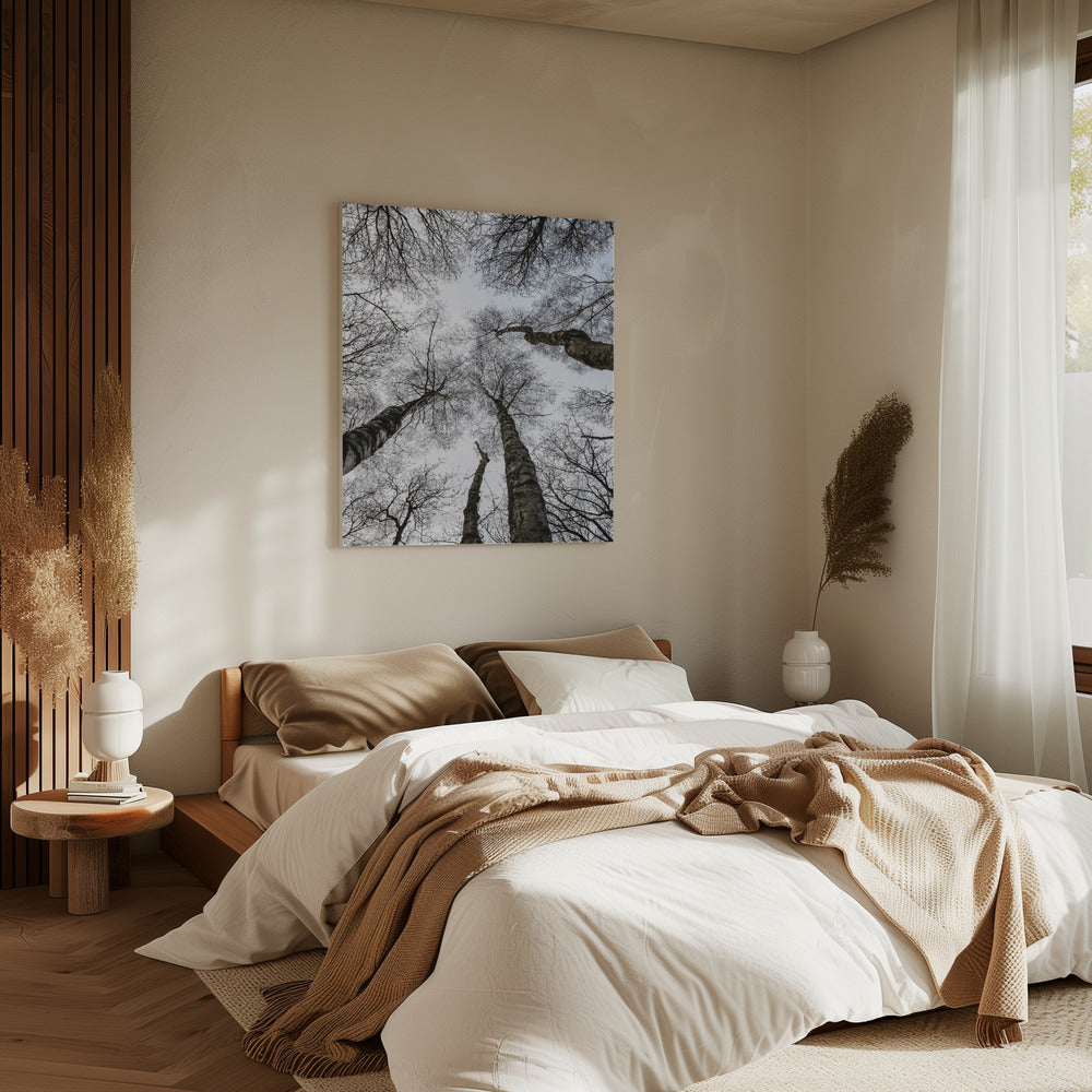 Winter's Embrace | Canvas