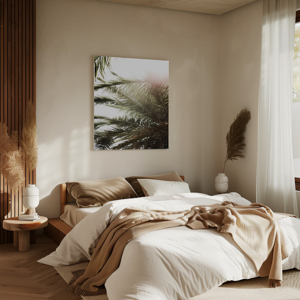 Sunlit Palm Glow | Canvas