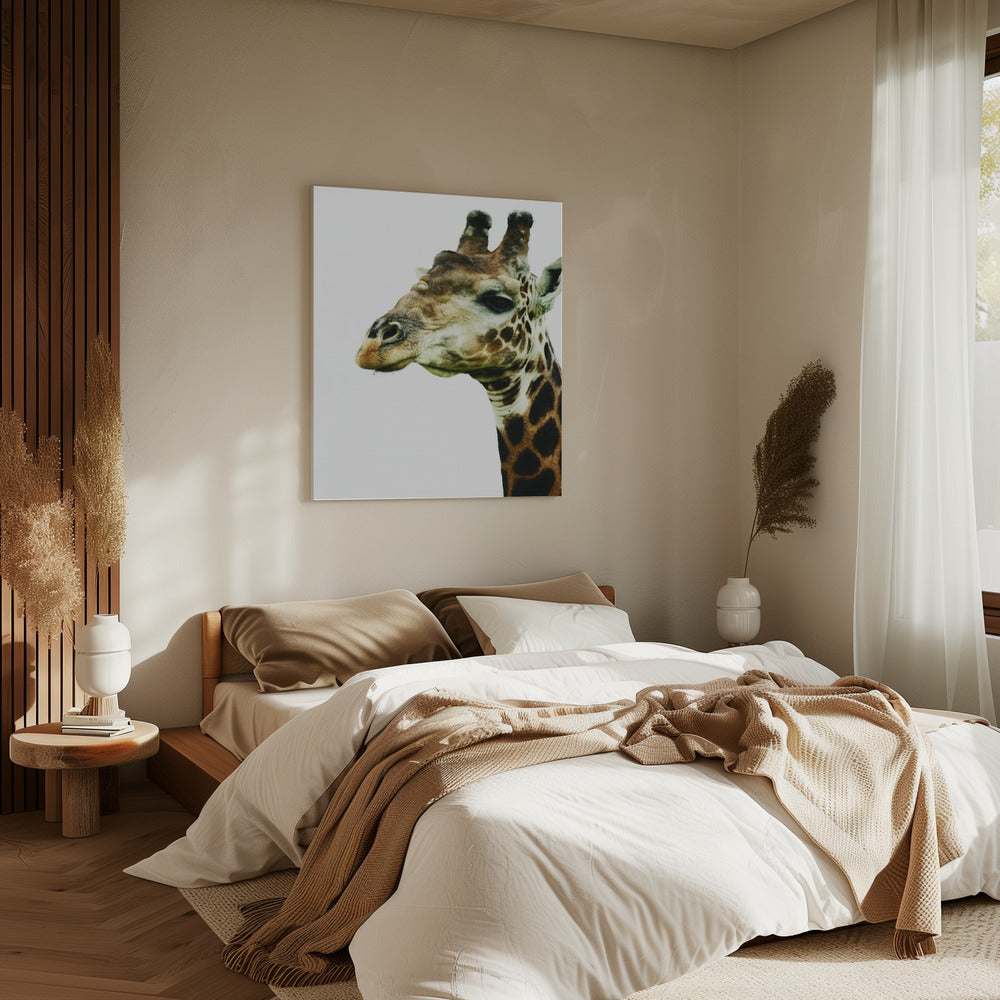 Giraffe's Graceful Gaze | Canvas