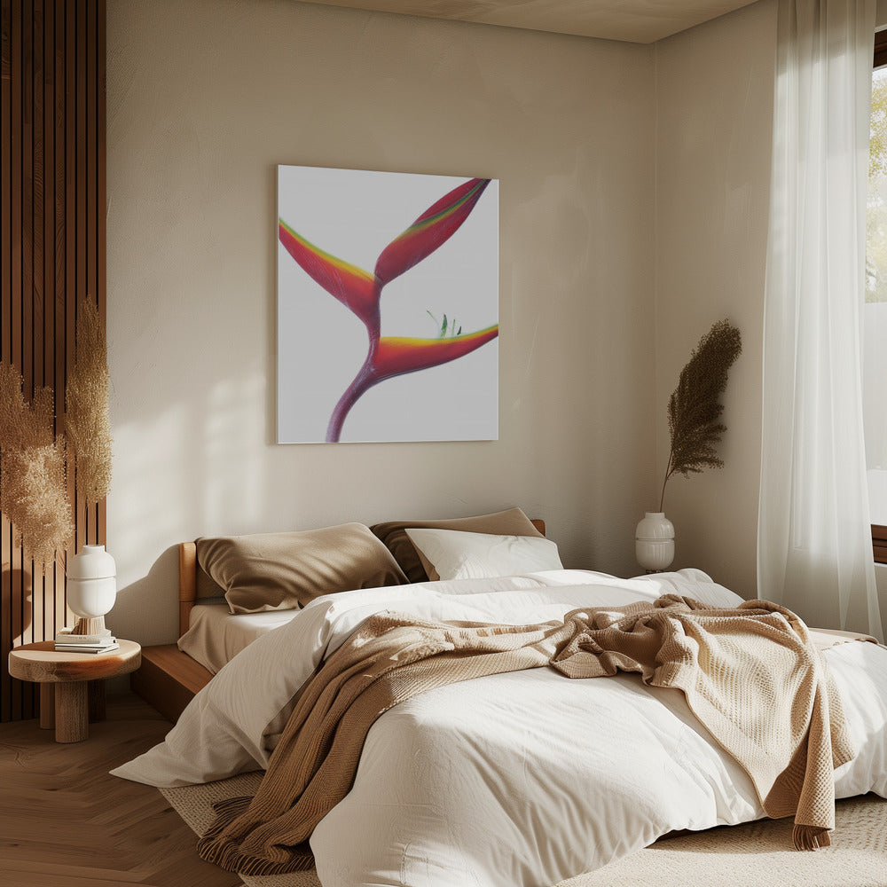 Tropical Elegance | Canvas