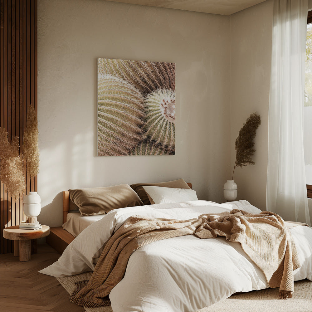 Spiral of Spines | Canvas