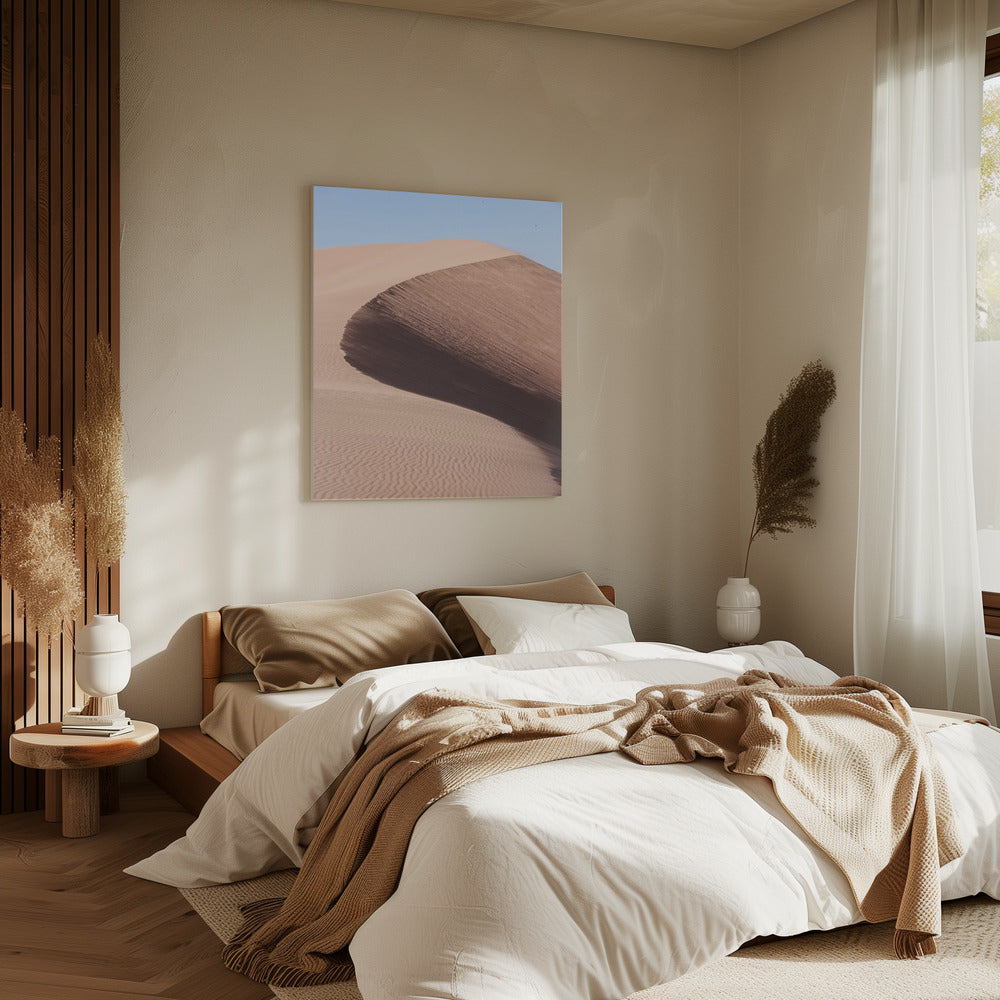 Desert's Graceful Curve | Canvas