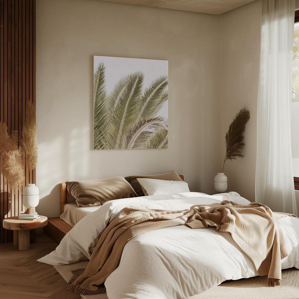 Fronds in the Breeze | Canvas