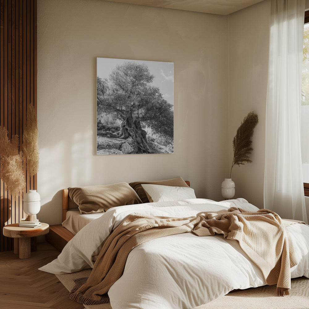 Ancient Sentinel | Canvas