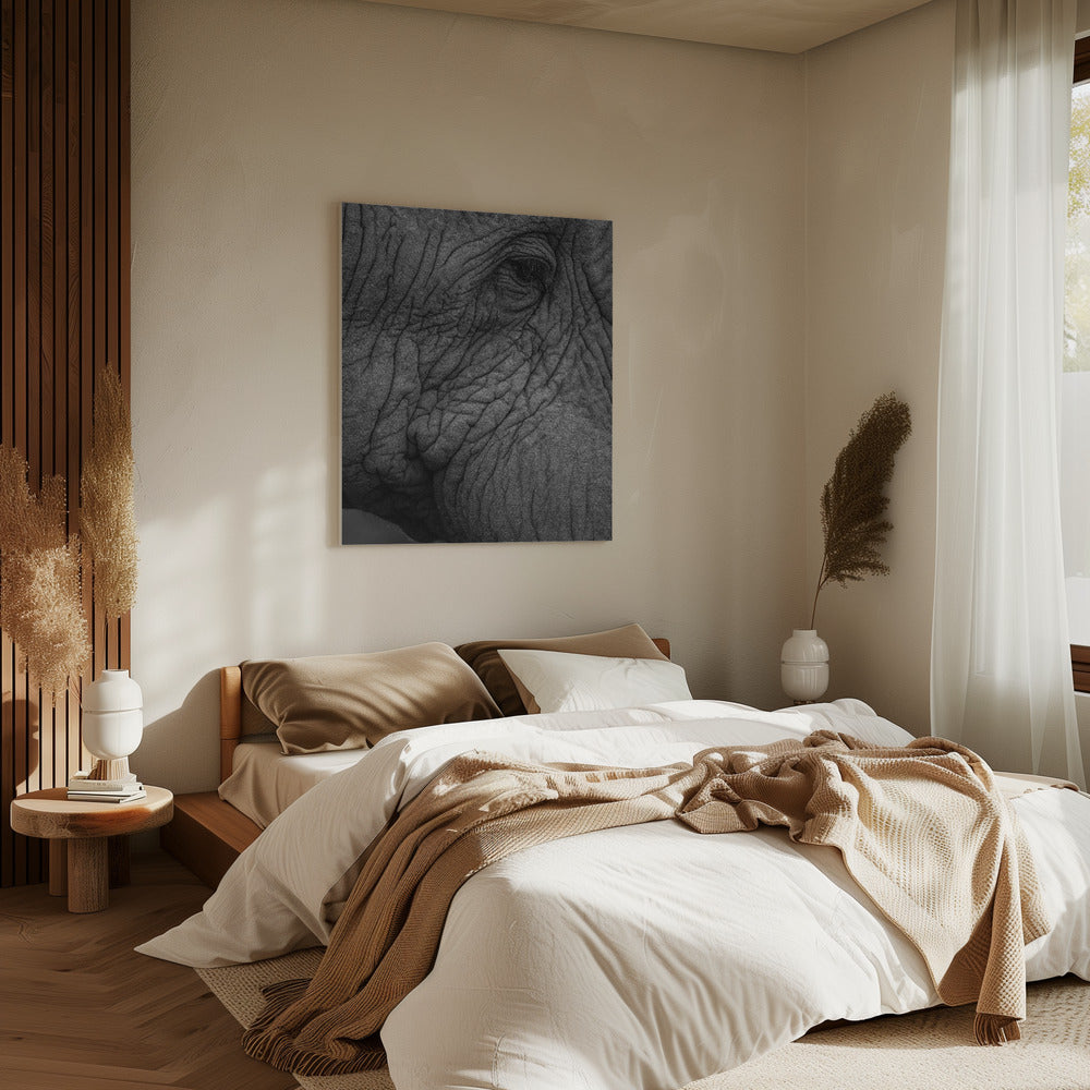 Elephant's Wisdom | Canvas