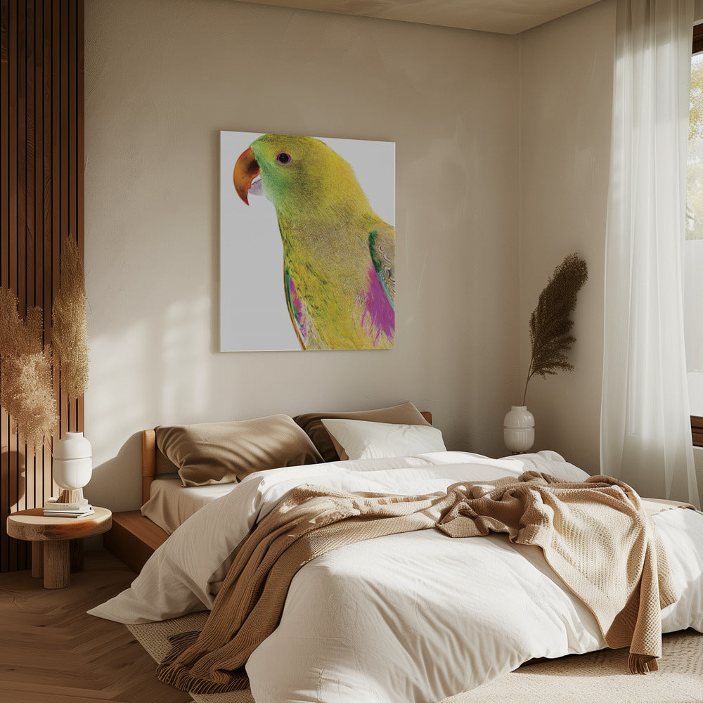 Vibrant Parrot Profile | Canvas