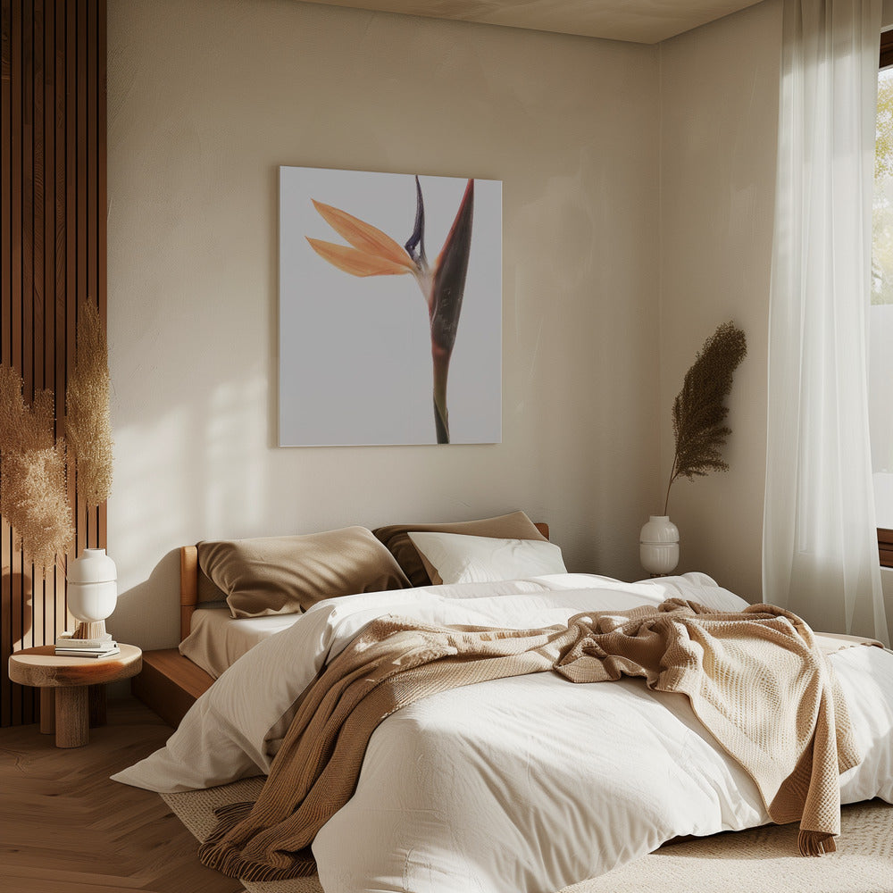 Vibrant Blossom | Canvas