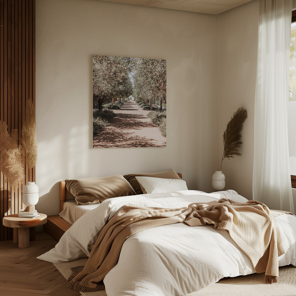 A Serene Tree Lined Path with Sunlight | Canvas