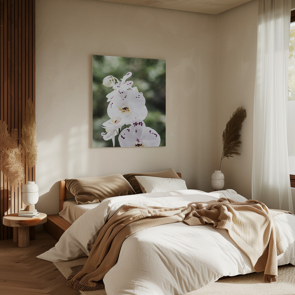 Spring Blooms | Canvas