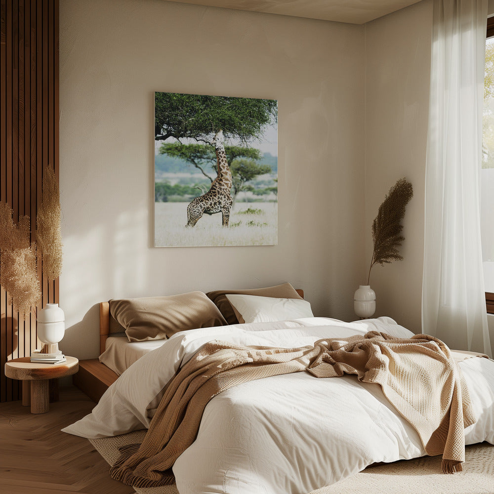 Majestic Giraffe Stretches | Canvas