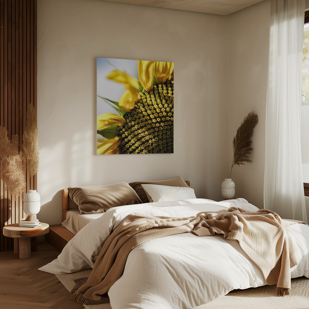 Sunflower Close Up | Canvas