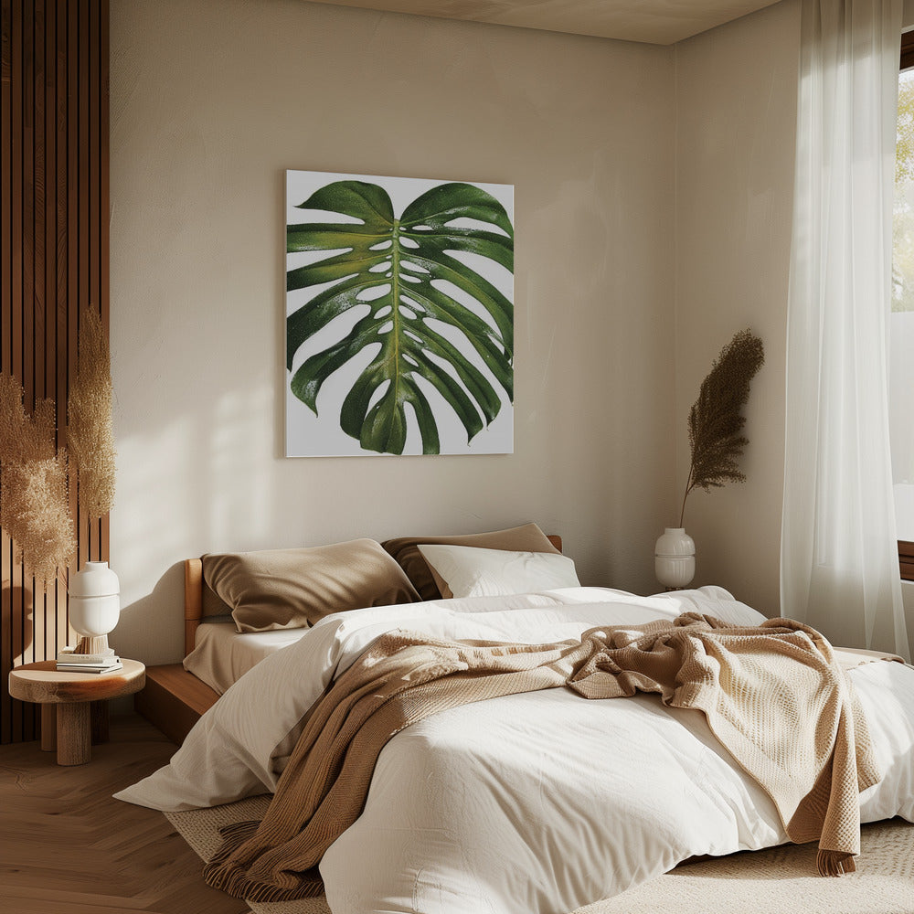 Verdant Monstera Leaf | Canvas