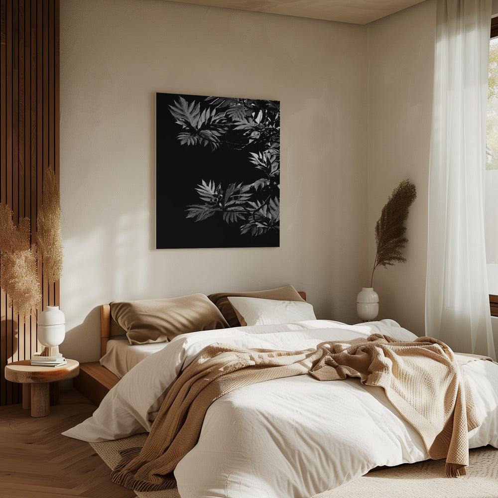 Shadows of Leaves | Canvas