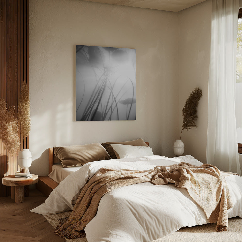 Water Lilly | Canvas