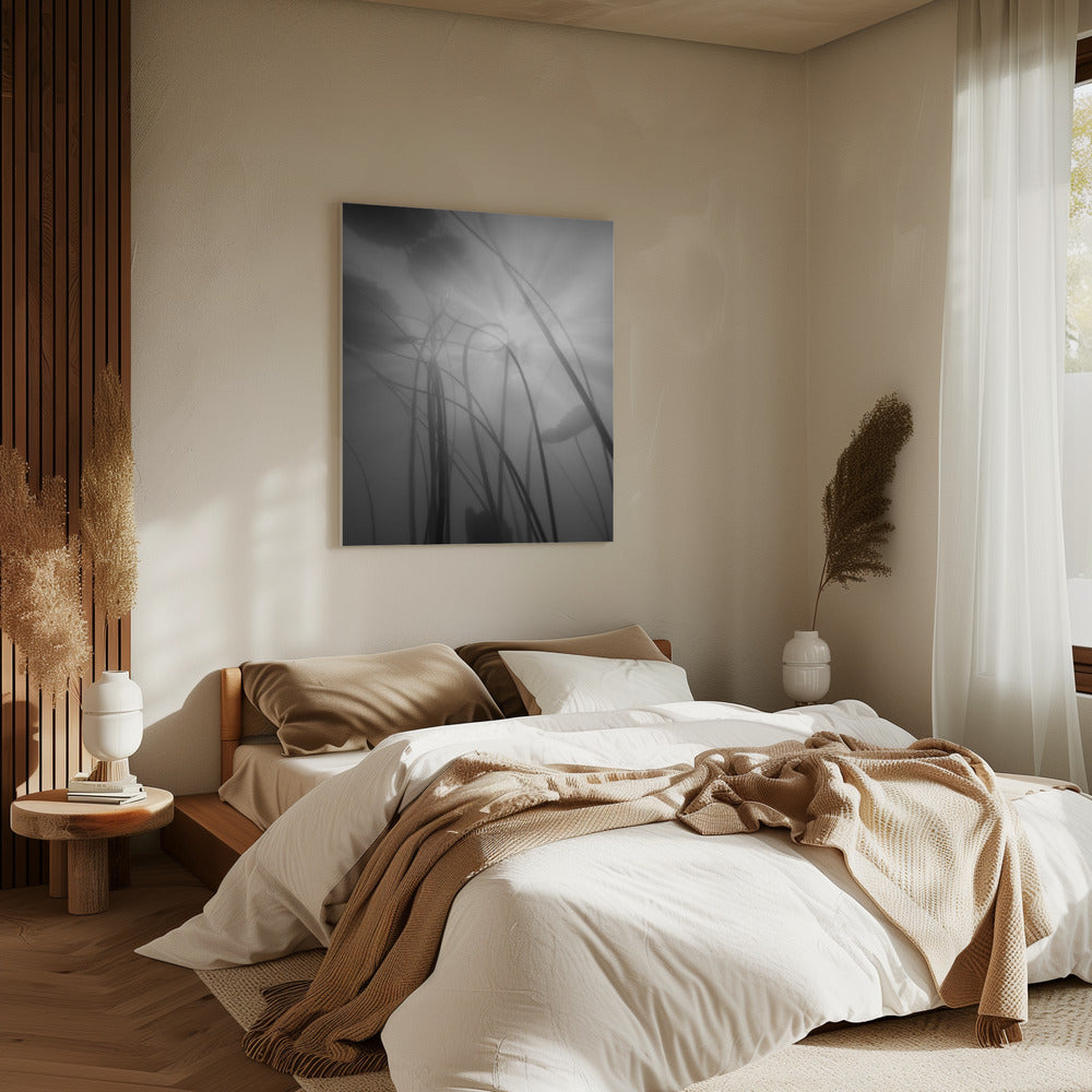 Water Lilly | Canvas