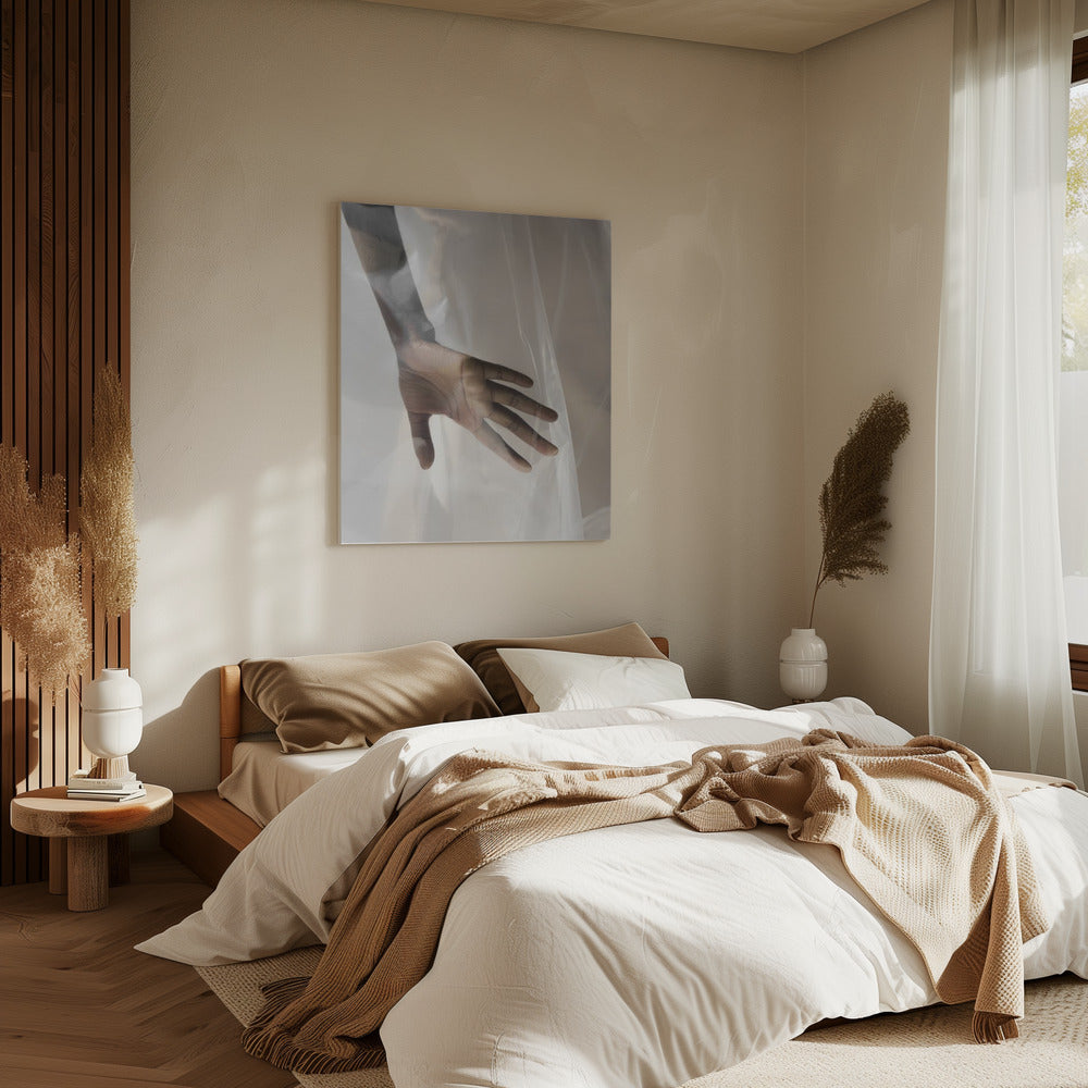 Hand Through Sheer | Canvas