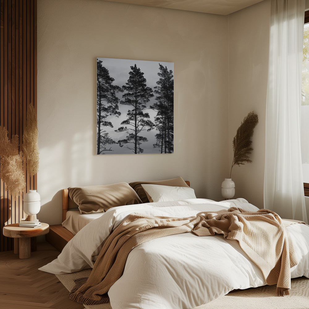 Swedish Trees | Canvas