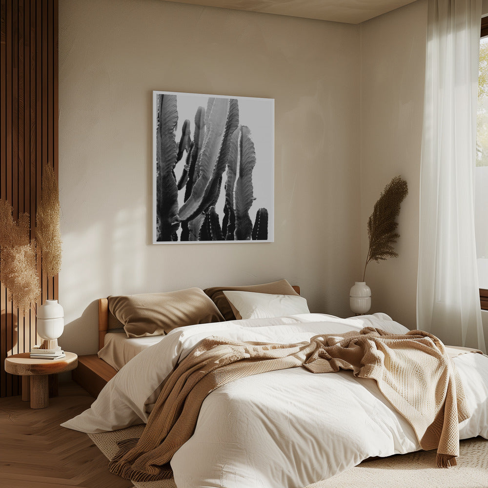 Cactus Elegance | Canvas