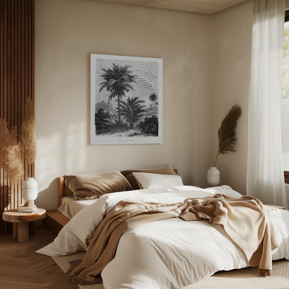 Vintage Palm Tree Drawing V | Canvas