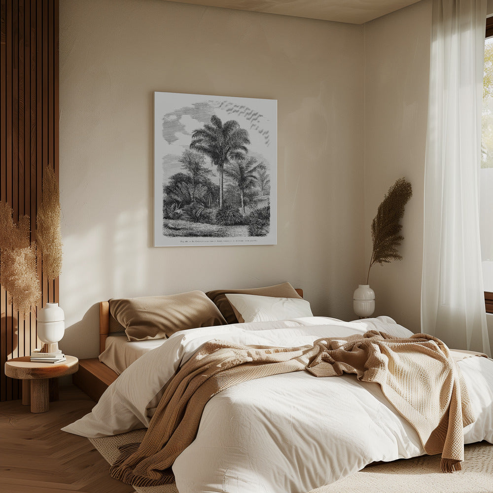 Vintage Palm Tree Drawing Vi | Canvas