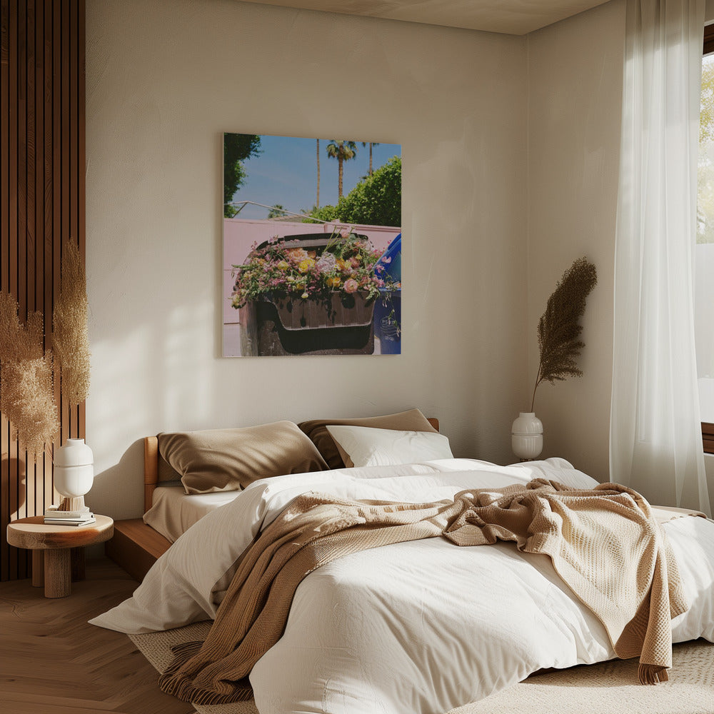 Palm Springs Curb | Canvas