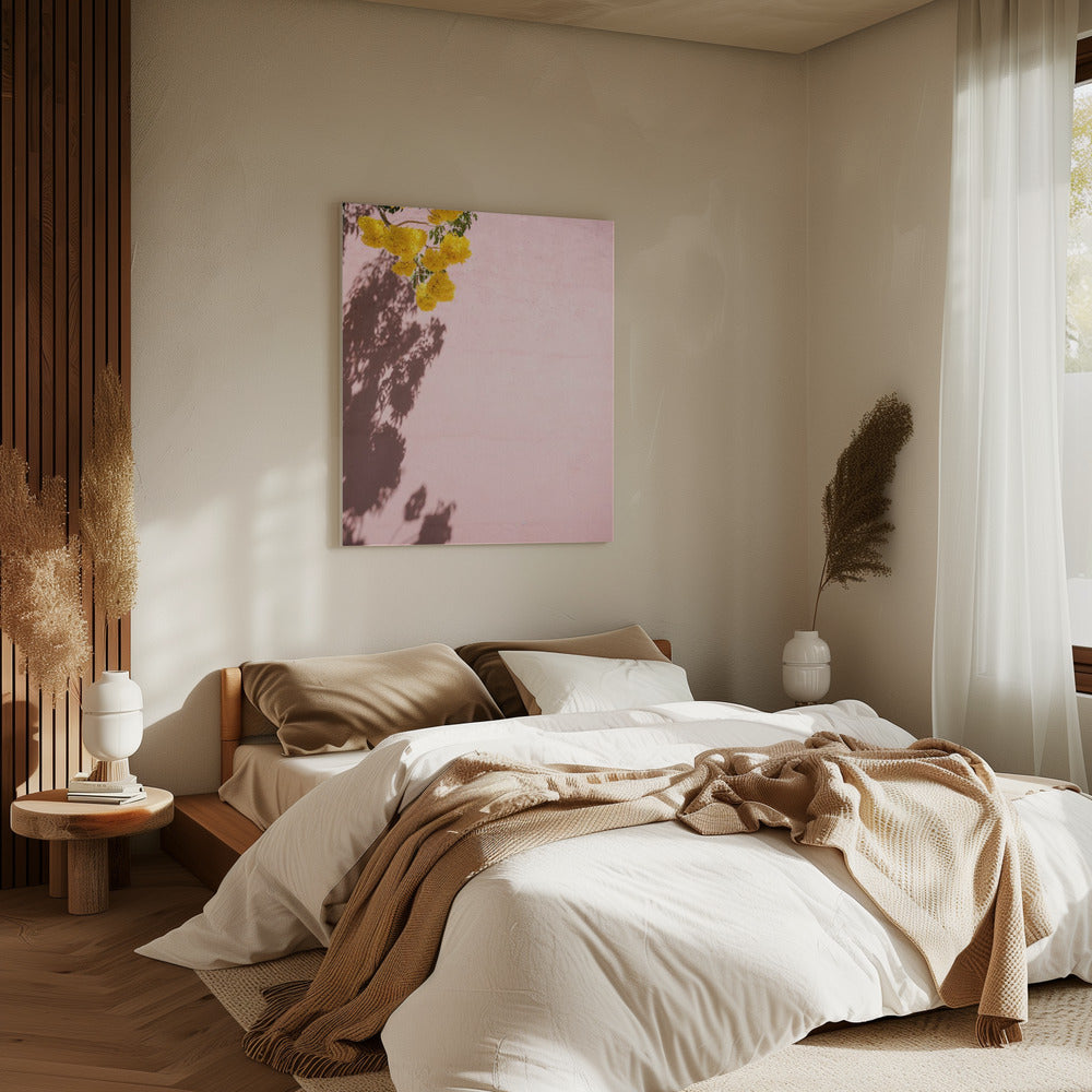 Yellow and Pink | Oaxaca Mexico | Canvas