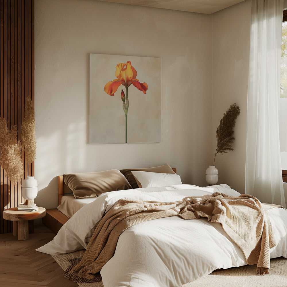 Poster Canvas Sng Iris 34 | Canvas