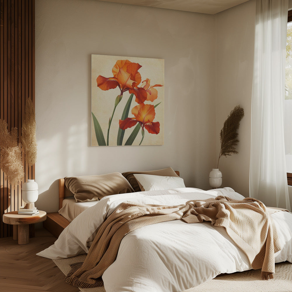 Poster Canvas Sng Iris 37 | Canvas