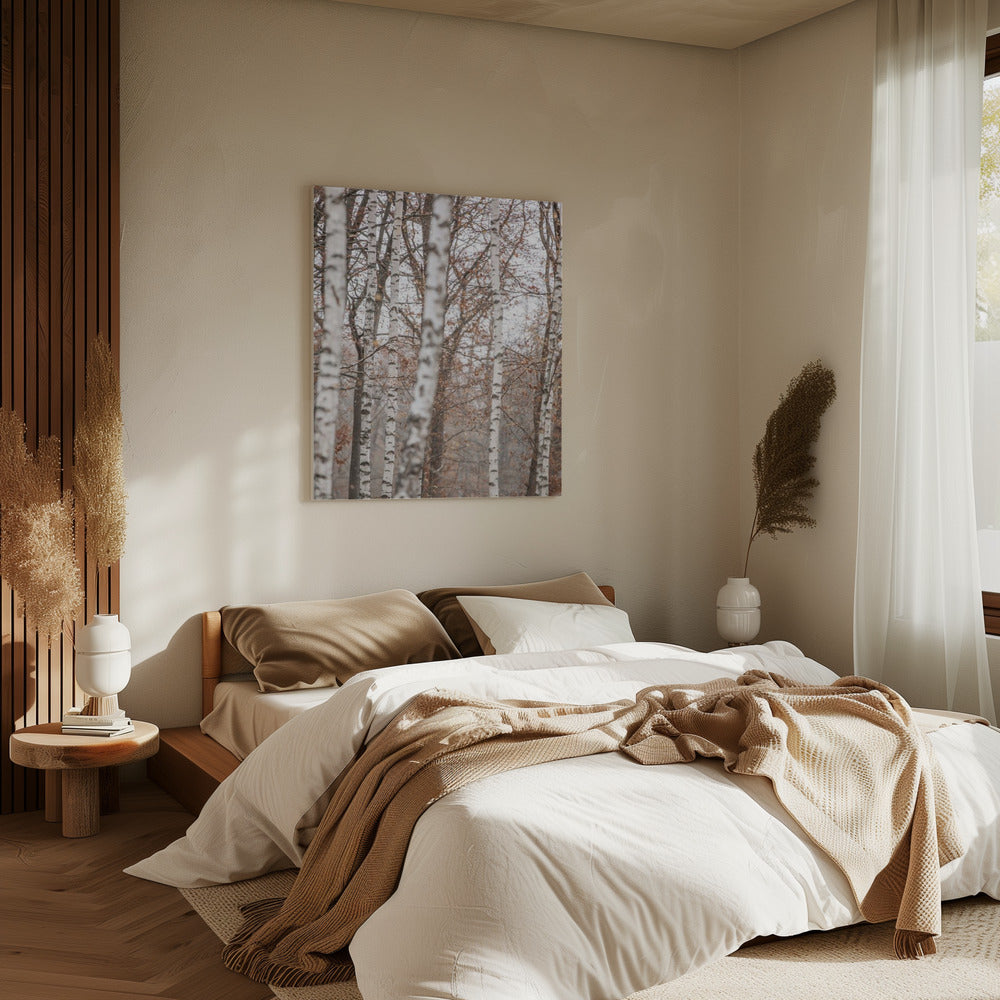 Birch Trees 6 | Canvas