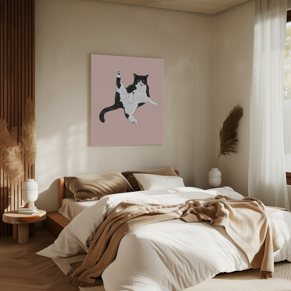 Cat In A Funny Pose | Canvas