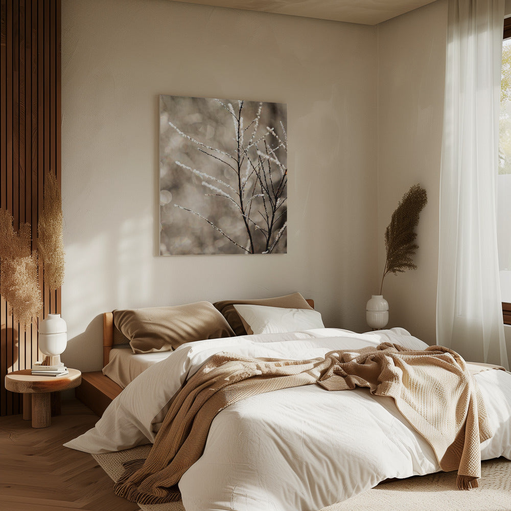 A Winter Morning 5 | Canvas