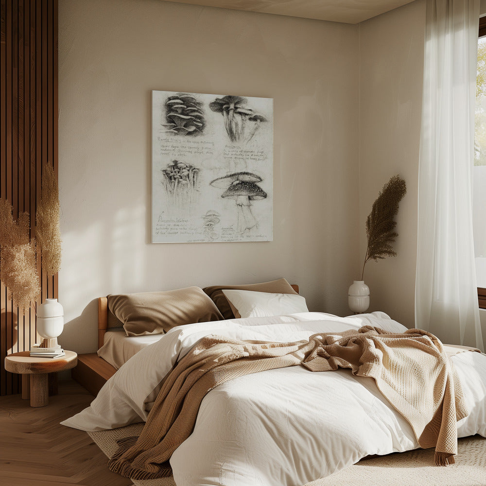 Various Botanical Mushrooms | Canvas