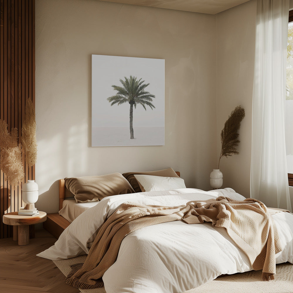 Palm | Canvas